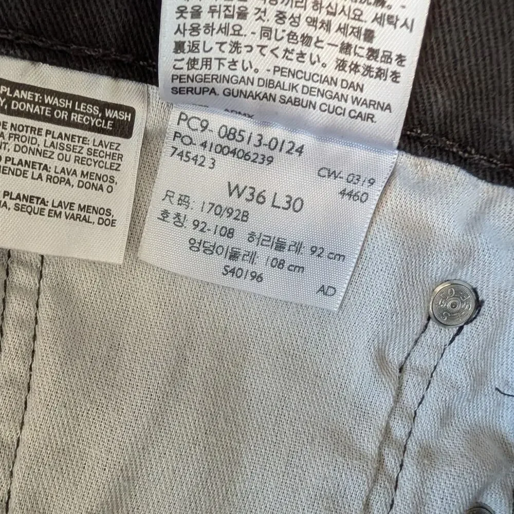 Levis levi 313